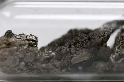 Image for Brazil rare earths miner Viridis to sell to US, European buyers, not China, CEO says