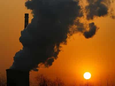 Image for Companies get green light to use offsets for supply chain emissions