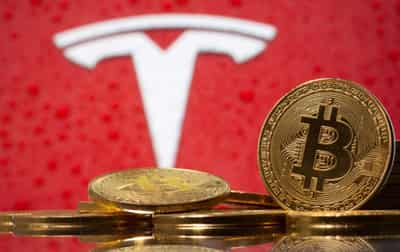 Image for Investors jolted by sinking Bitcoin, Tesla and other market favorites