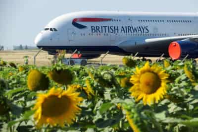Image for World&#8217;s beautiful, Airbus says as air industry sets out green goals