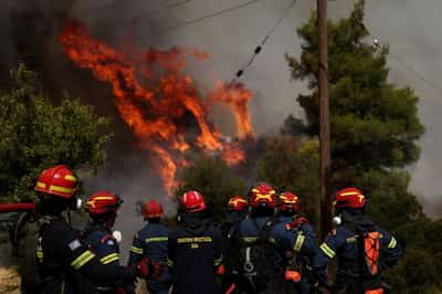 Image for Greece battles wildfires, Hungary shuts nuclear power plant due to drought