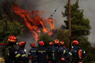 Image for Greece battles wildfires, Hungary shuts nuclear power plant due to drought