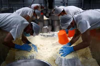 Image for Portugal aiming to protect young workers, interns in jobs market