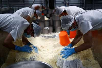 Image for Portugal aiming to protect young workers, interns in jobs market