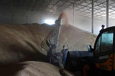Image for Russian farmers, markets sceptical on state measures to rescue grain exports, call to sow less