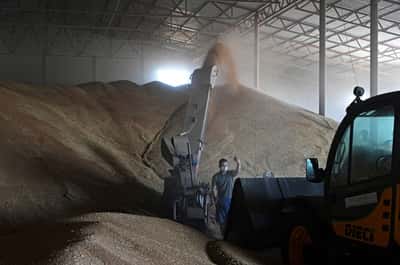 Image for Russian farmers, markets sceptical on state measures to rescue grain exports, call to sow less