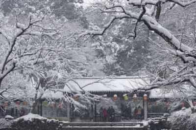 Image for Chinese city offers Nobel Prize winners $1.5 million housing subsidies