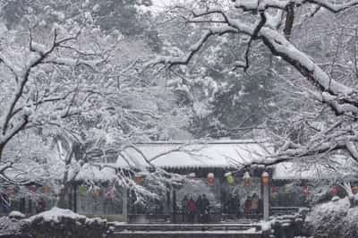 Image for Chinese city offers Nobel Prize winners $1.5 million housing subsidies