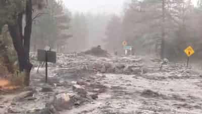 Image for Storm Hilary slams Southwest U.S. with heavy rain