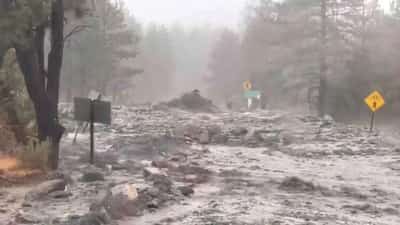 Image for Storm Hilary slams Southwest U.S. with heavy rain
