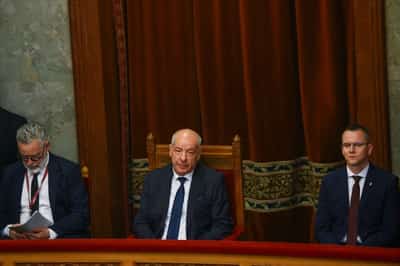 Image for Hungary parliament set to oust president in Magyar's power shake-up