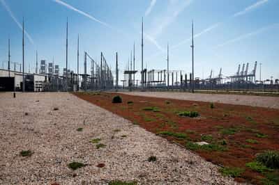 Image for TenneT launches potential sale of German grid operation