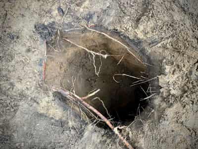 Image for Scores of migrants cross into Poland through hidden Belarus border tunnel