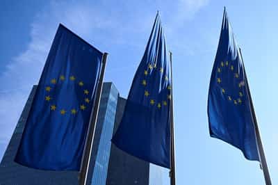 Image for ECB seeks bigger say on banks' capital requirements