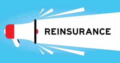Image for Navigating the Future: Reinsurance and Risk Transfer Strategies for 2025