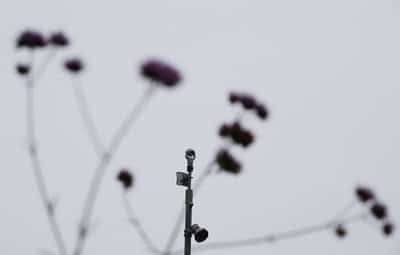 Image for British police to ramp up facial recognition to catch criminals