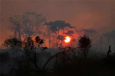 Image for Analysis-Brazil’s Lula hopes to unite rainforest nations, tap funding at COP27