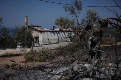 Image for Albanian firefighters battle blazes as southern and eastern Europe feels the heat