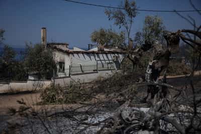 Image for Albanian firefighters battle blazes as southern and eastern Europe feels the heat