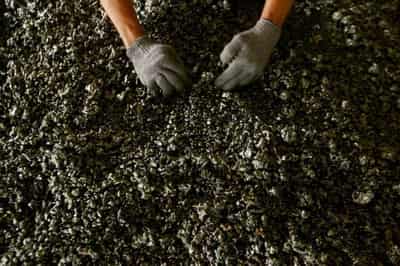 Image for LME nickel volumes tumble as funds and other users retreat