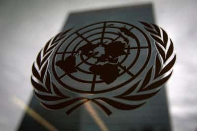Image for Companies urged to pay into new UN fund to help protect nature
