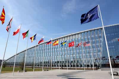 Image for NATO fund backs biotech startup in push to counter biological threats