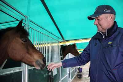 Image for Equestrians race to save horses abandoned in Ukraine warzones