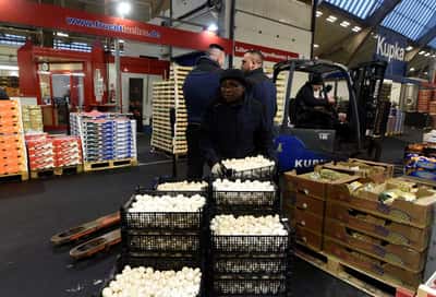 Image for German wholesale prices rise 8.7% in September