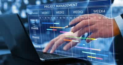 Image for Navigating the Complex Landscape of Project Management in 2025
