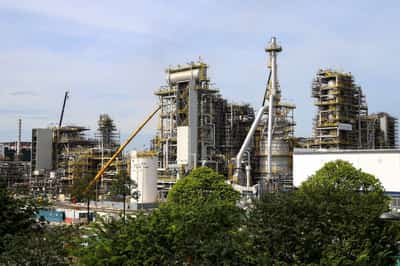 Image for Neste urges EU to ease rules on biofuel feedstocks amid energy crunch