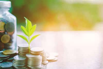 Image for Why financial institutions need to prioritise sustainability in financial services