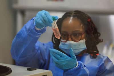 Image for Trump's aid cuts stop South African HIV vaccine trials in their tracks