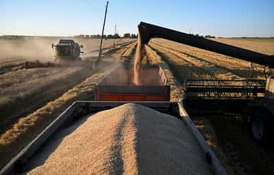 Image for Analysis-Wheat buyers brace for higher costs as Russia-Ukraine war drags on