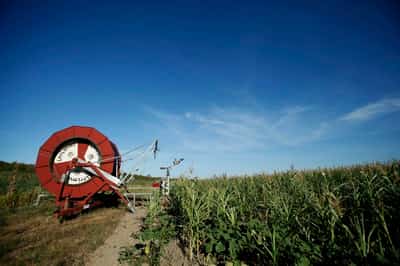 Image for EU prosecutors arrest 21 Croatians over suspected farm aid fraud