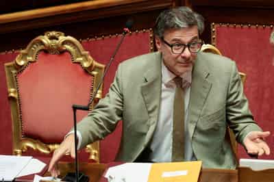 Image for Italy seeks faster introduction of EU levy on low-value parcels