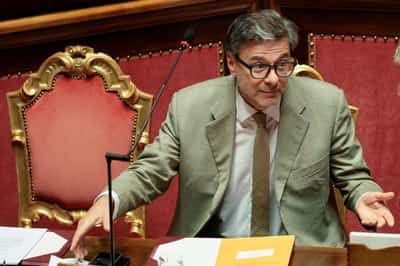 Image for Italy seeks faster introduction of EU levy on low-value parcels