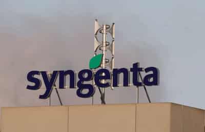 Image for Syngenta reports higher annual sales, earnings as it prepares for float