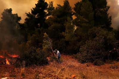 Image for August was world's joint-hottest month on record, scientists say