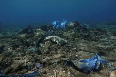 Image for Greece to spend 780 million euros to protect marine biodiversity, PM says
