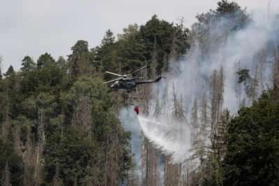Image for Factbox-Wildfires breaking out across the world