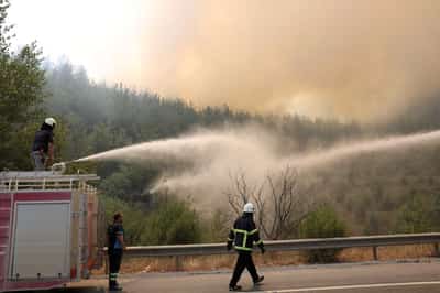 Image for Firefighters struggle to contain wildfires as heatwave sears Turkey and Cyprus