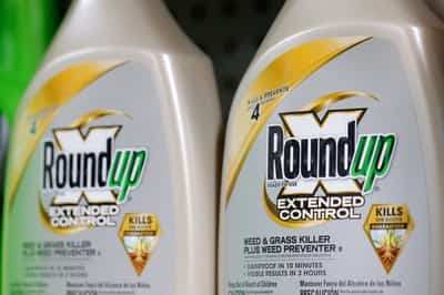 Image for Bayer wins Roundup weedkiller cancer trial while awaiting settlement ruling