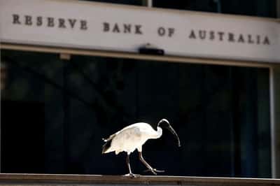 Image for Australia central bank outlines policy tools for times of crisis