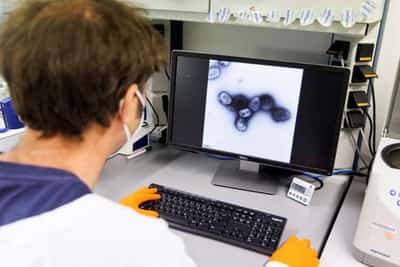 Image for Bavarian Nordic monkeypox vaccine wins EU approval