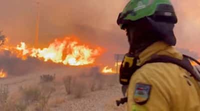 Image for Wildfires in southern Spain kill 12, emergency agency says