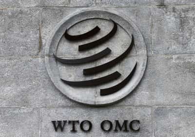 Image for WTO chair rules out reform deal at next major meeting, document shows