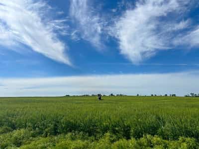 Image for Bayer takes its multi-front battle on pesticide liability to Kansas