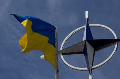 Image for Ukraine expects NATO summit to discuss funding despite trouble securing backing, envoy says