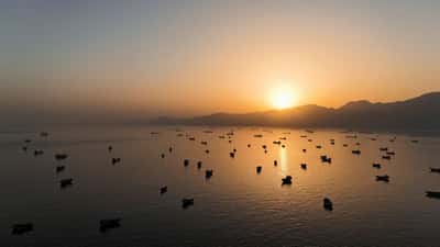 Image for EU diplomatic arm proposed naval mission take ‘primary role’ in clearing Strait of Hormuz mines, document shows