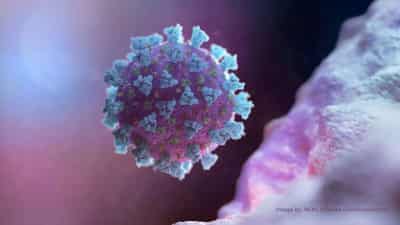Image for US CDC tracks new lineage of virus that causes COVID